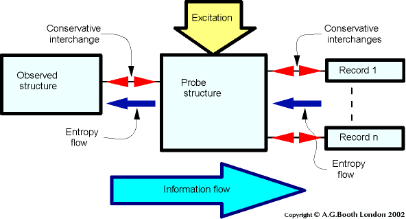 Basic Structure of an Observer